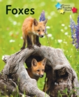 Foxes : Phonics Phase 5 - eBook