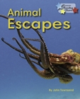 Animal Escapes - eBook