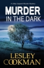 Murder in the Dark - Book