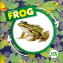 Life Cycle of a Frog - Book