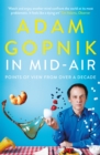 In Mid-Air : Points of View from over a Decade - eBook