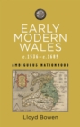 Early Modern Wales c.1536–c.1689 : Ambiguous Nationhood - Book