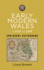 Early Modern Wales c.1536c.1689 : Ambiguous Nationhood - eBook