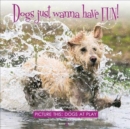 Dogs just wanna have FUN! : Picture this: Dogs at Play - Book