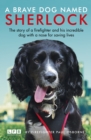 A Brave Dog Named Sherlock - Book