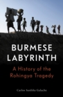 The Burmese Labyrinth - Book