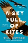 A Sky Full of Kites - eBook