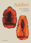 Amber : From Antiquity to Eternity - Book