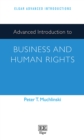 Advanced Introduction to Business and Human Rights - eBook