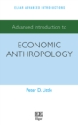 Advanced Introduction to Economic Anthropology - eBook