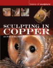 Sculpting in Copper - Book