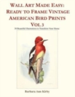 Wall Art Made Easy : Ready to Frame Vintage American Bird Prints Vol 3: 30 Beautiful Illustrations to Transform Your Home - Book
