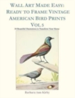 Wall Art Made Easy : Ready to Frame Vintage American Bird Prints Vol 5: 30 Beautiful Illustrations to Transform Your Home - Book