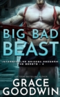 Big Bad Beast - Book
