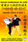 Shaolin Tradizionale del Nord Vol.3 : Livello di Base - Dai Shi 2 - Book