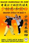 Shaolin Tradizionale del Nord Vol.4 : Livello di Base - Dai Shi 3 - Book