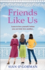 Friends Like Us : An emotional Irish page-turner about love and friendship - eBook