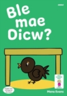 Llyfrau Hwyl Magi Ann: Ble Mae Dicw? - Book