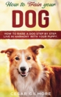 How to Train Your Dog : How to Raise a Dog Step by Step. Live in Harmony with your Puppy. - Book