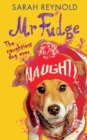 Mr Fudge - Book