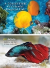 A Collection of Colorful Tropical Fish - 100 Artistic Pictures of Water Animals - Full Color HD : Professional Photo Album - The Best Animal Pictures And Art Images Ideas - Rigid Cover Version - Engli - Book
