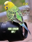 Animal Photos and Premium High Resolution Pictures - Premium Paper - Full Color HD : 150 Animals Photo Gallery Ideas - Album Art Images - Creative Prints - Paperback Version - English Language Edition - Book