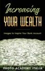 Increasing Your Wealth : Images to Inspire Your Bank Account - Book