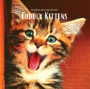 Curious looks of Cuddly Kittens : Colour photo album with beautiful kittens. Gift idea for lovers of small felines and nature. Photo book with close-up portraits of kittens discovering the world. - Book