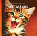 Regards curieux des Chatons Calins : Album photo en couleur avec de magnifiques chatons. Idee de cadeau pour les amoureux des petits felins et de la nature. Livre de photos avec des portraits en gros - Book