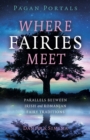 Pagan Portals - Where Fairies Meet : Parallels between Irish and Romanian Fairy Traditions - Book
