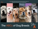 The ABCs of Dog Breeds, Letter A : The Complete Illustrated Guide, With High-Quality Images and Important Information to Know All Dog Breeds - Book