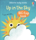 Up In The Sky - Book