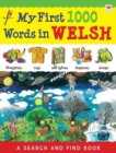 My First 1000 Words in Welsh - eBook