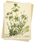 RBGE: Charlotte Cowan Pearson: Stitchworts, Woodruff and Pepperwort Greeting Card Pack : Pack of 6 - Book