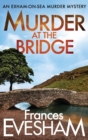 Murder At The Bridge - Book