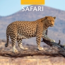Safari 2024 Square Wall Calendar - Book