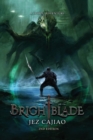 The UnderVerse : A LitRPG Adventure Brightblade 1 - Book