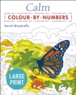 Large Print Calm Colour-by-Numbers - Book