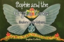 Sophie and the Crystal Fairies: Santa's Little Helpers - Book