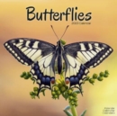 Butterflies 2023 Wall Calendar - Book