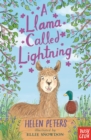 A Llama Called Lightning - eBook