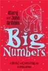 Big Numbers : A Mind-Expanding Trip to Infinity and Back - Book