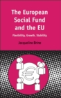 European Social Fund and the EU : Flexibility, Growth, Stability - Book