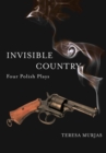Invisible Country : Four Polish Plays - Book