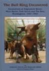 The Bull Ring Uncovered : Excavations at Edgbaston Street, Moor Street, Park Street and The Row, Birmingham City Centre, 1997-2001 - Book