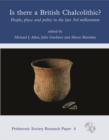 Is There a British Chalcolithic? : People, Place and Polity in the later Third Millennium - eBook