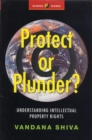 Protect or Plunder? : Understanding Intellectual Property Rights - Book