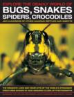 Explore the Deadly World of Bugs, Snakes, Spiders, Crocodiles - Book