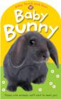 Baby Bunny : Baby Touch & Feel - Book