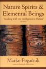 Nature Spirits & Elemental Beings : Working with the Intelligence in Nature - Book